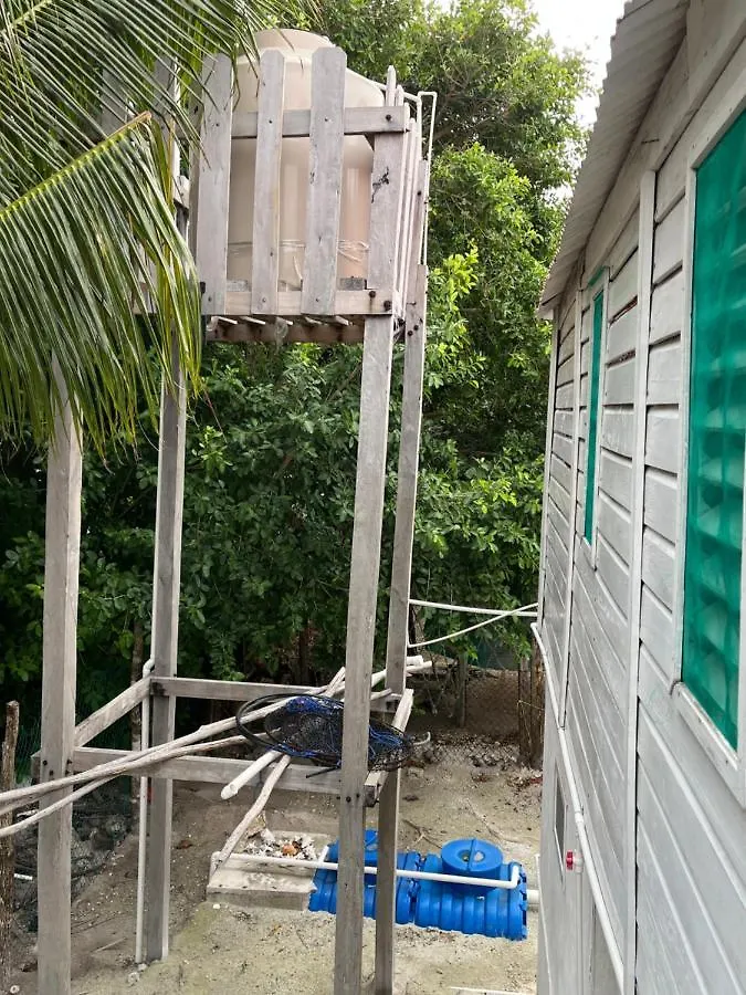キャンプ場 Casa Del Arbol Polanco メキシコ