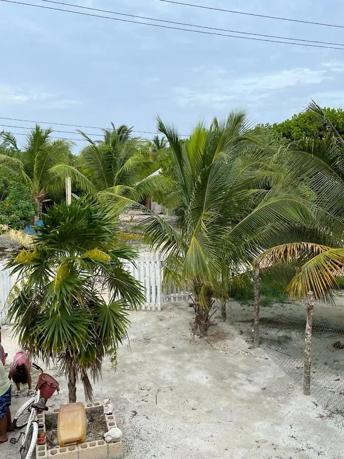 Casa Del Arbol Polanco 0*, スカラク