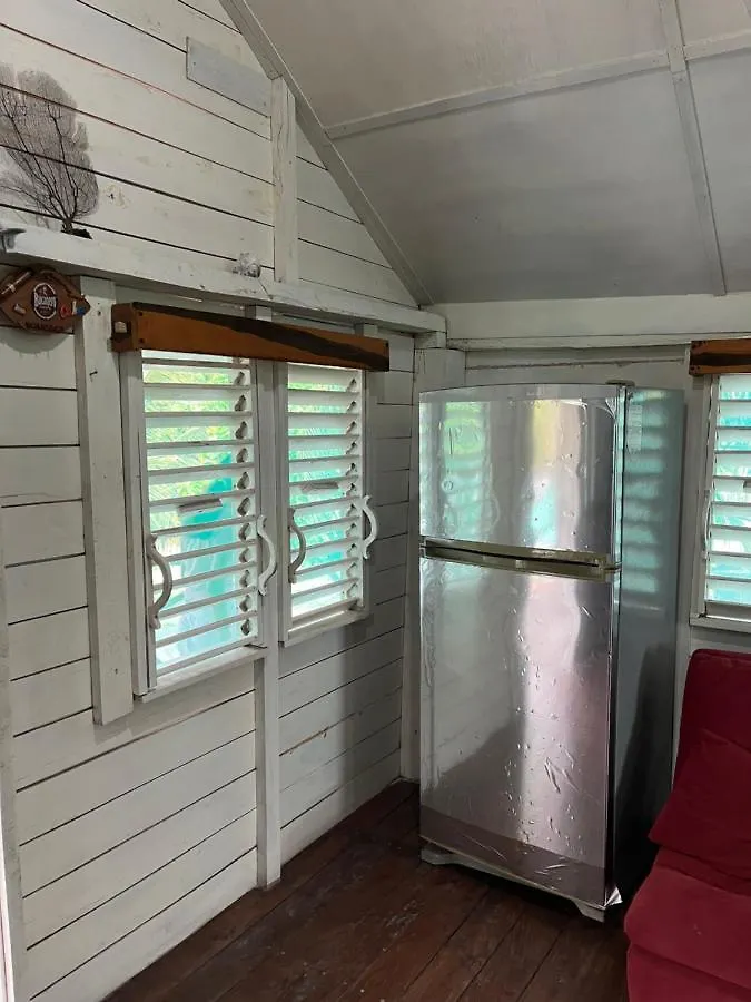 Casa Del Arbol Polanco スカラク
