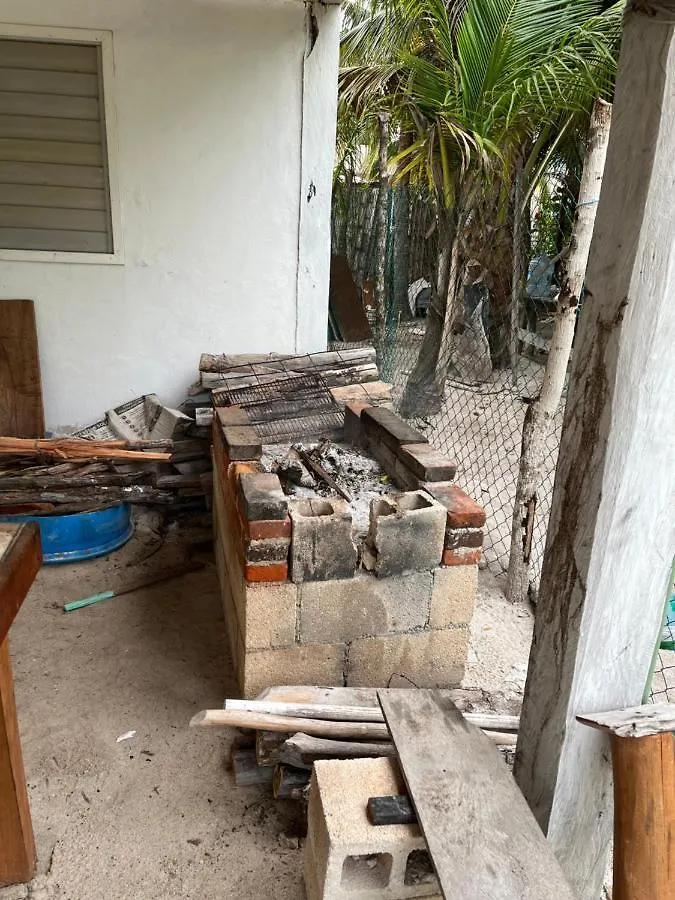 Casa Del Arbol Polanco
