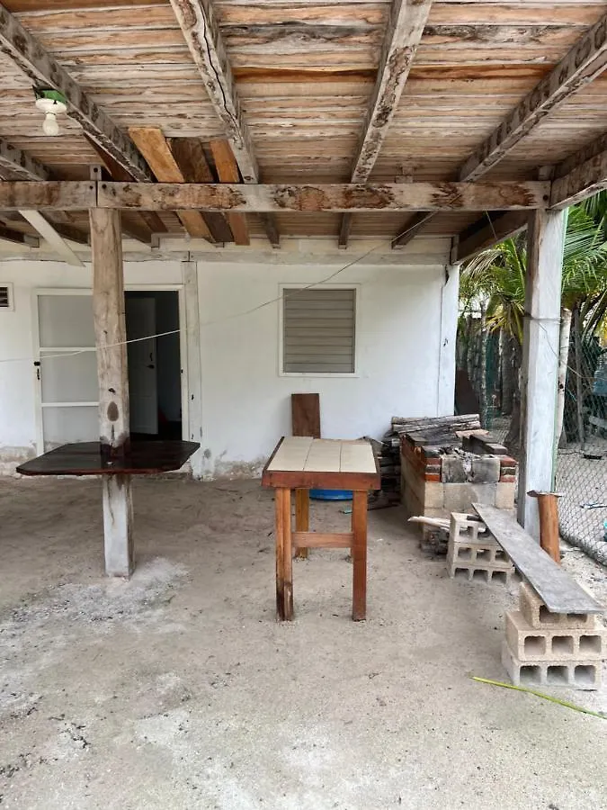 Casa Del Arbol Polanco