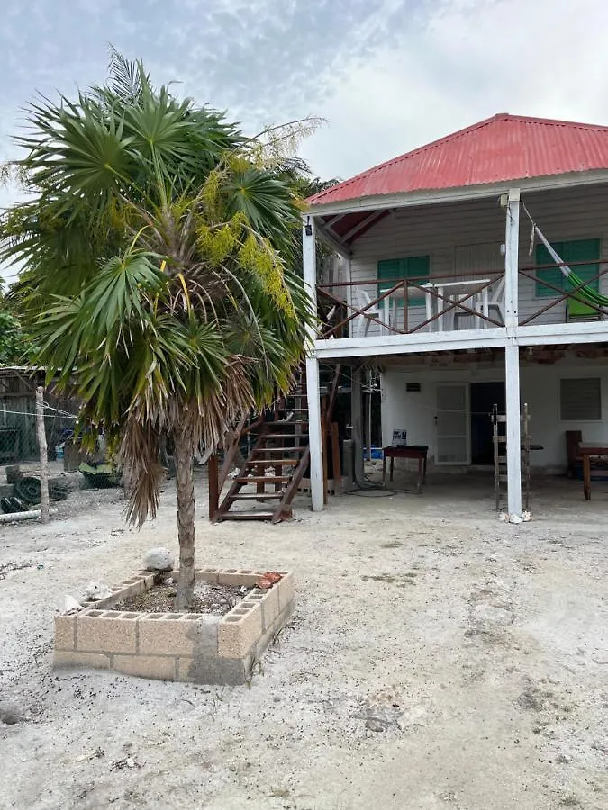 Campsite Casa Del Arbol Polanco