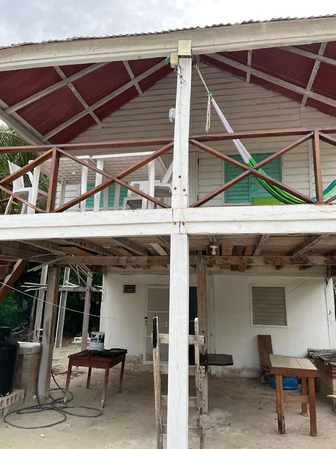 Casa Del Arbol Polanco Mexico