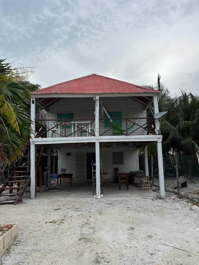 Campsite Casa Del Arbol Polanco Mexico