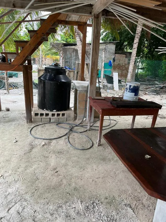 Casa Del Arbol Polanco Campsite