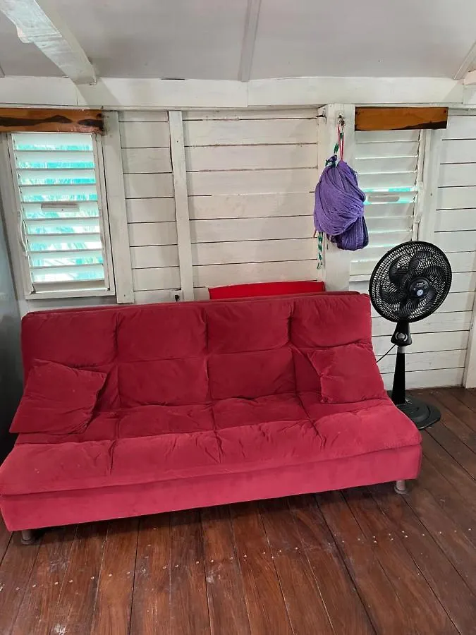 Casa Del Arbol Polanco Mexico